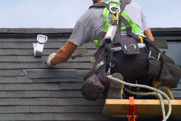 Best Roof Gutter Cleaning  in Old Fig Garden, CA